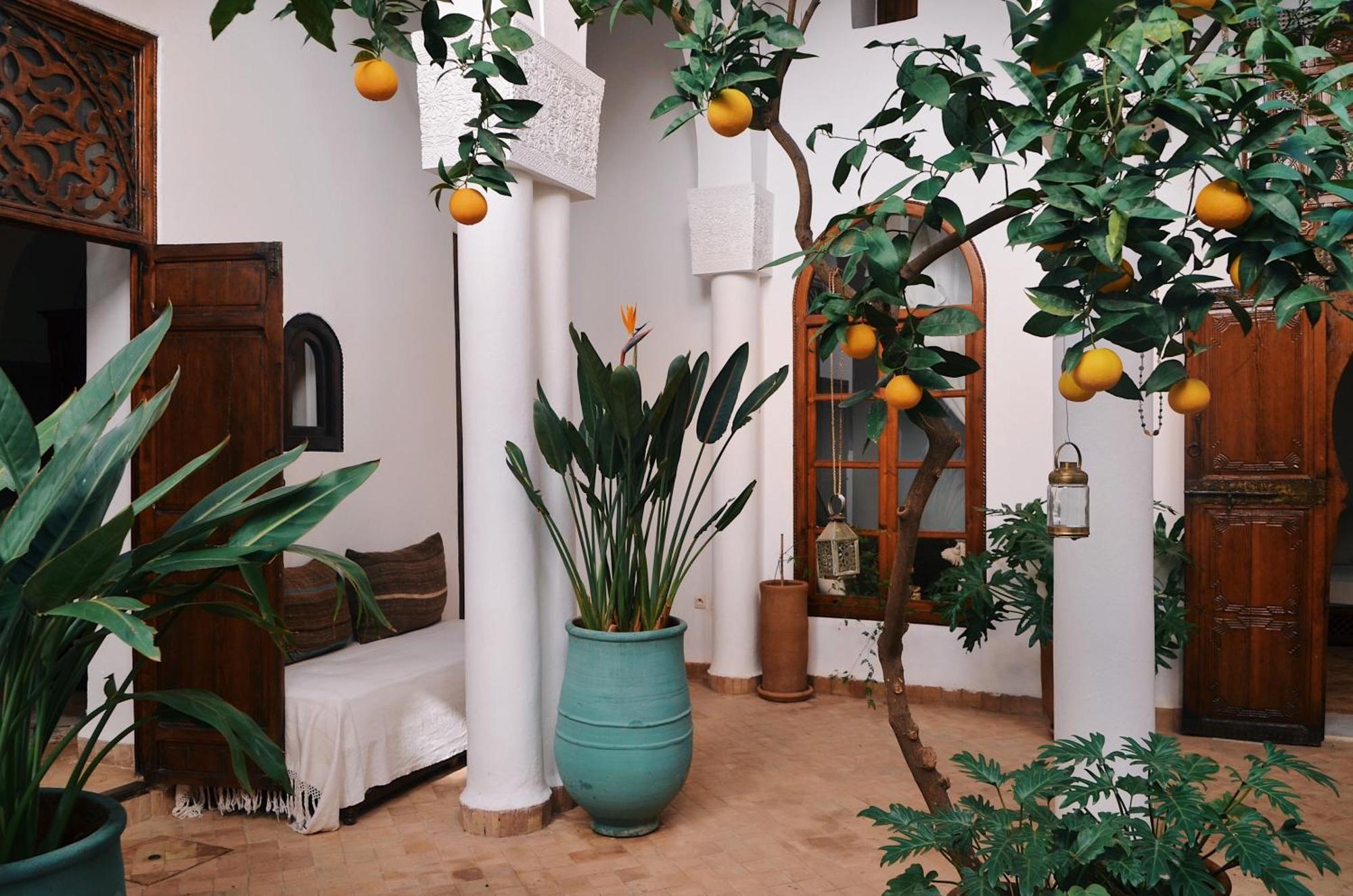 Nosade Venue Bed & Breakfast Marrakesh Exterior photo